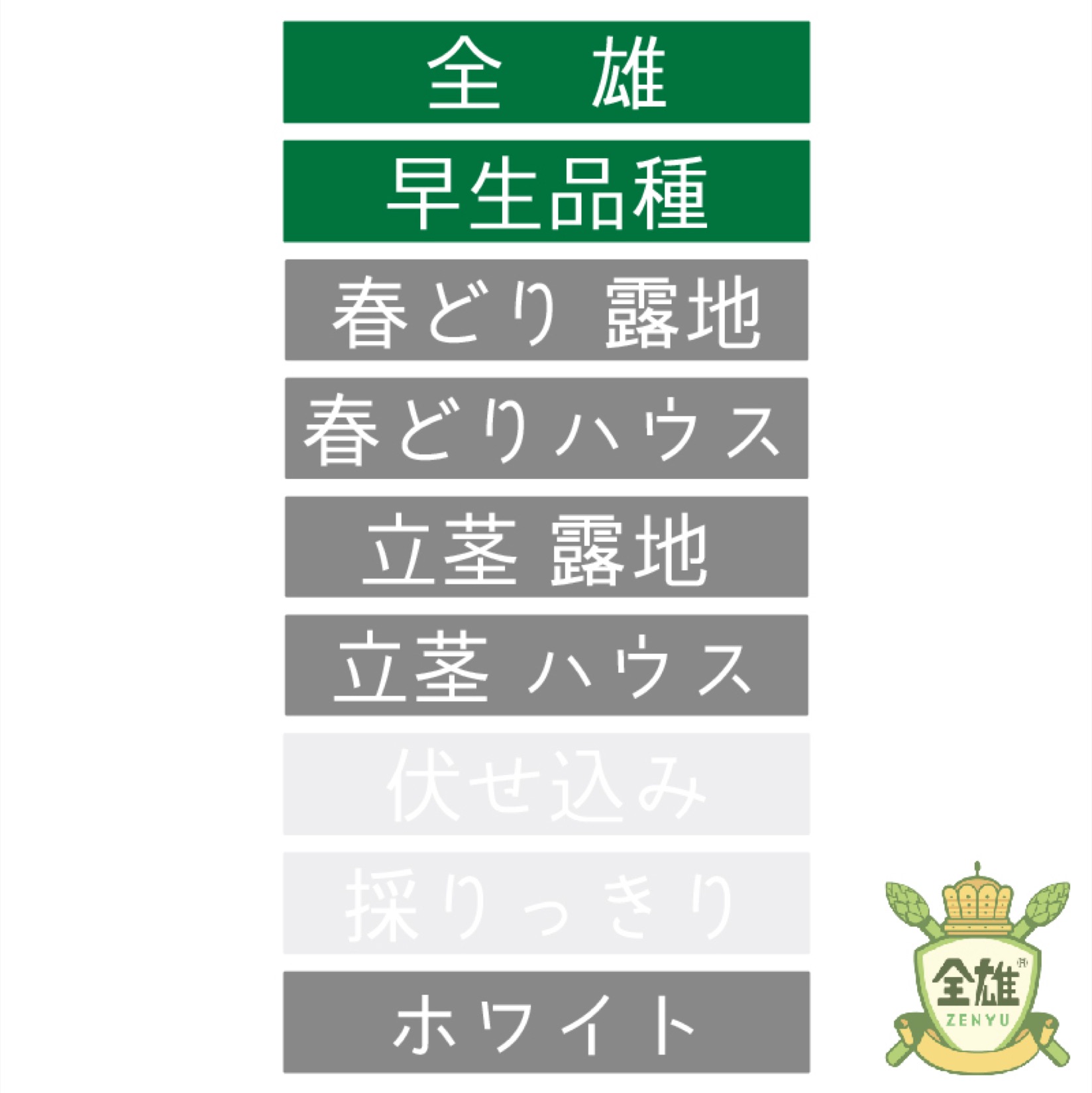 ランラン　　アスパラガス種子（アスパラ）300粒 t-skt-has-001-a.jpg