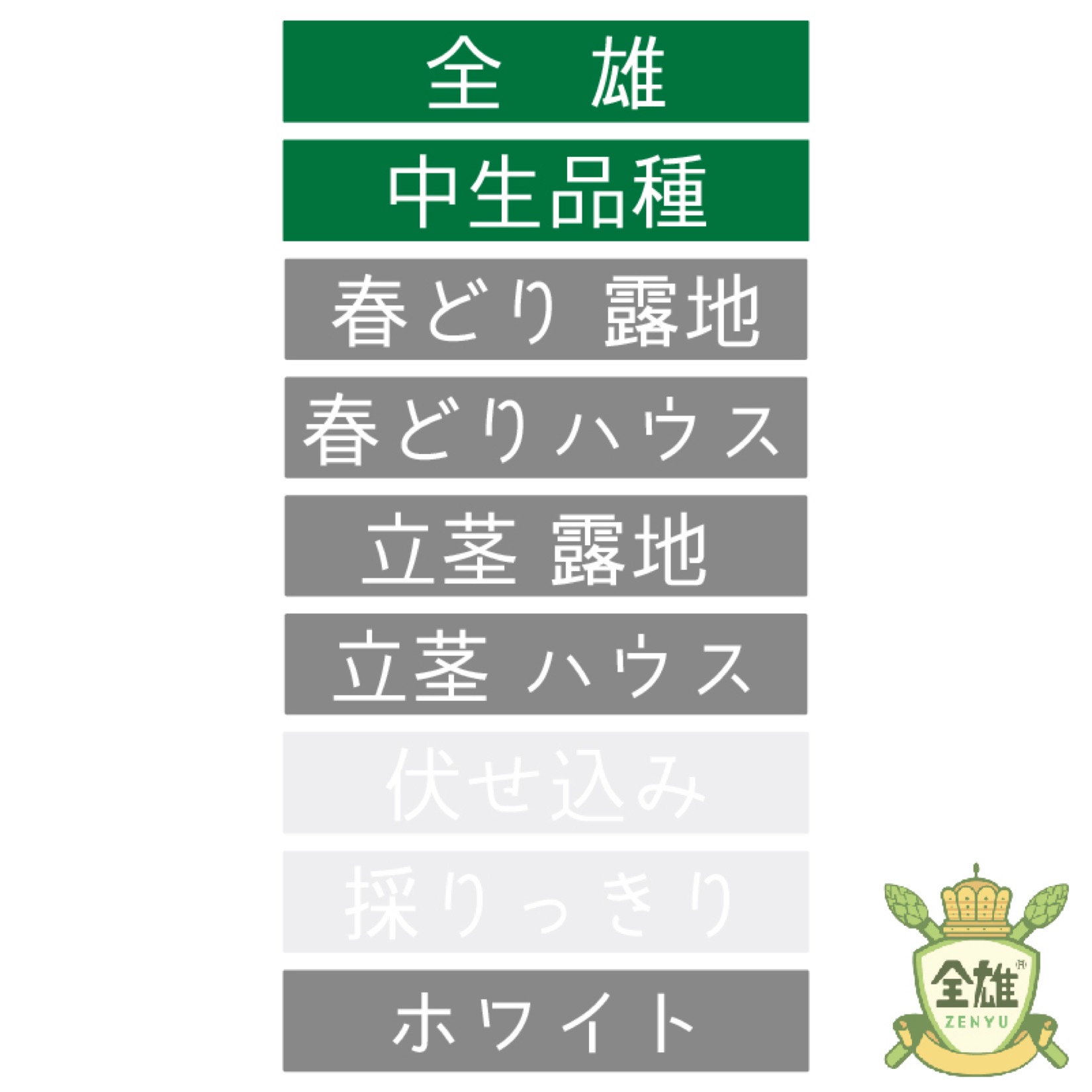 ランラン　　アスパラガス種子（アスパラ）300粒 PA057[アスパラガス] - e-種や｜国内最大級の野菜種・花種・苗