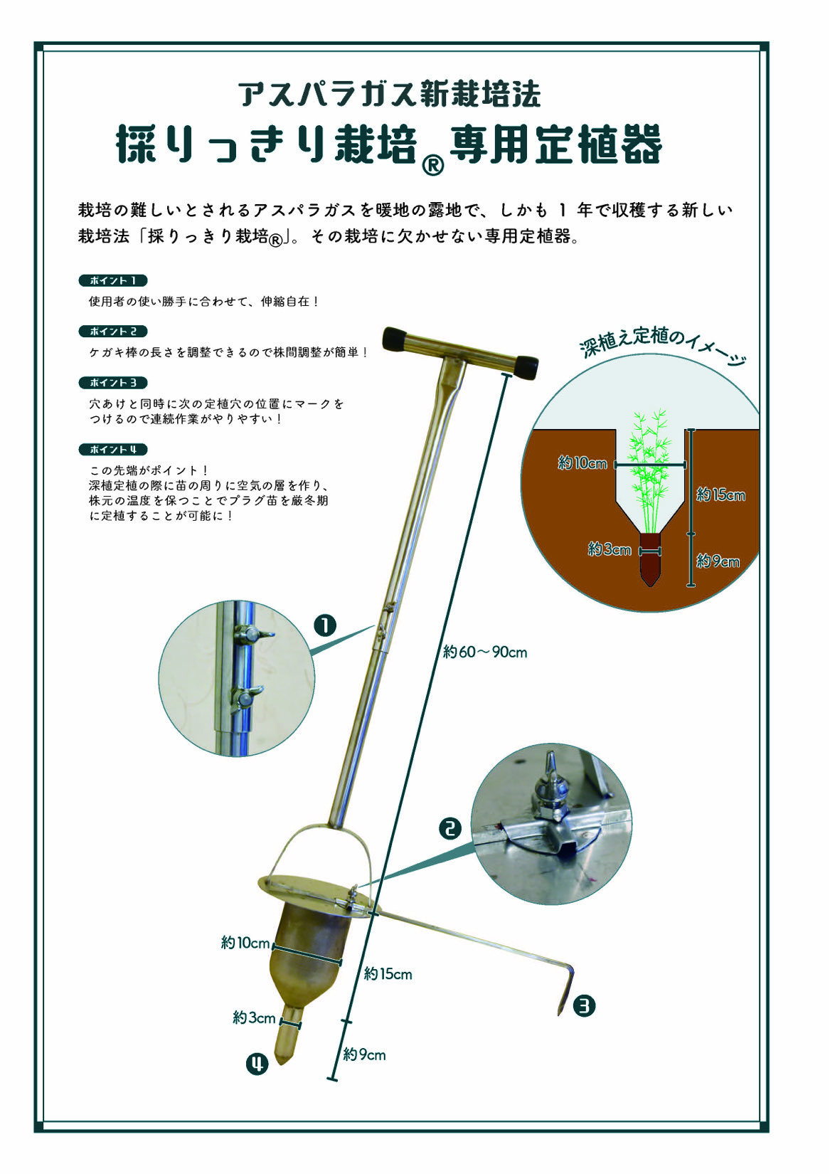 アスパラガス】定植器(採りっきり栽培128穴、200穴トレイ用)_1個 