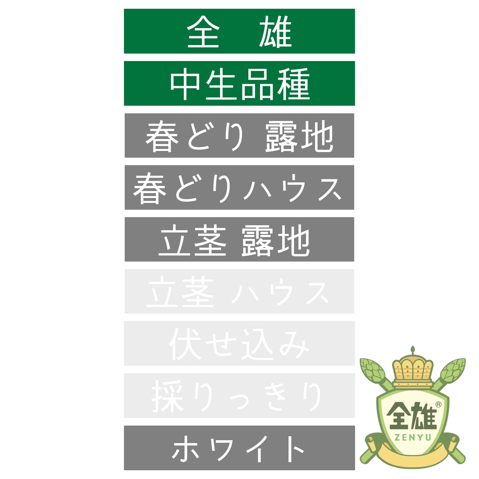 アスパラガス苗128穴】PA058_360本保証 | 株式会社PsEco