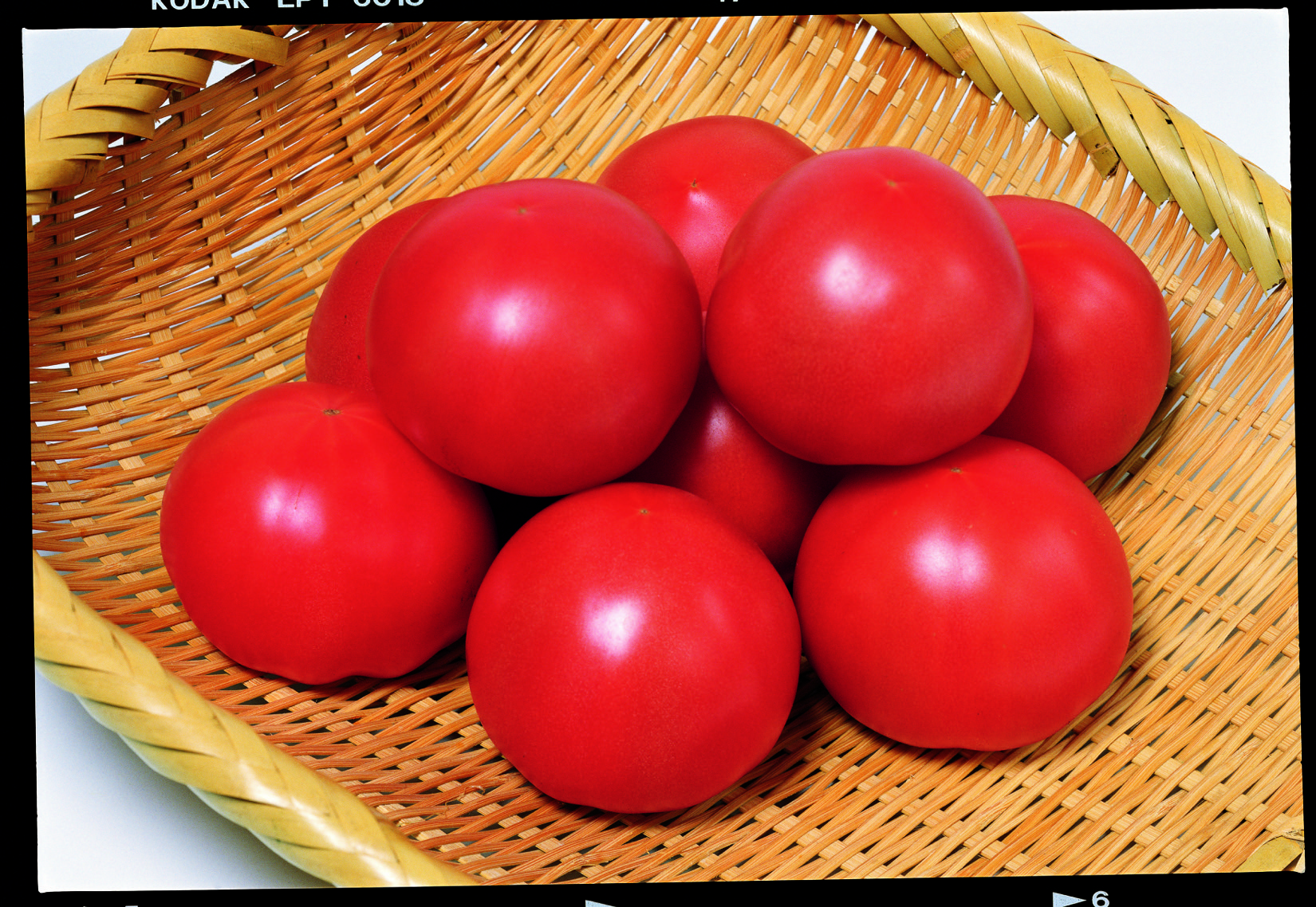 とまとページ トマトプリンティングシグニチャーMTMユニセックス (3Color