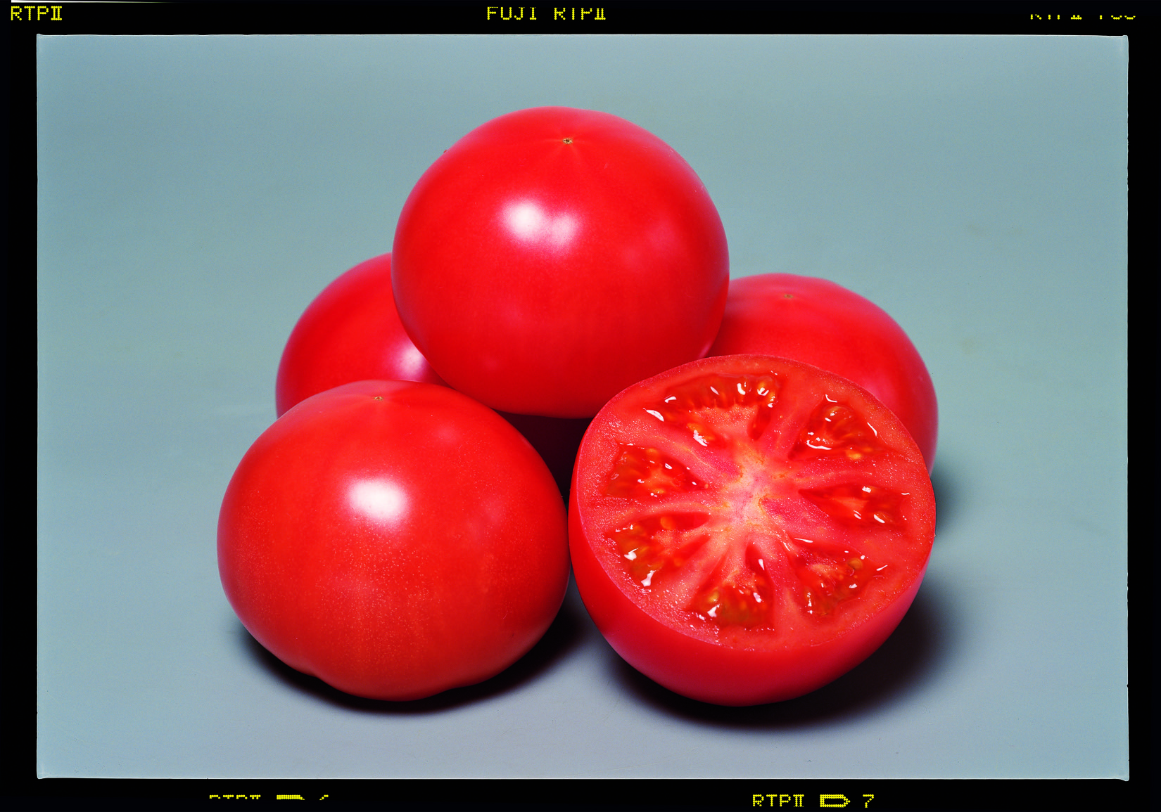 トマト種子】麗容_1000粒 | 株式会社PsEco（ピーエスエコ）