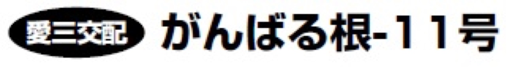 トマト台木種子 | 株式会社PsEco（ピーエスエコ）