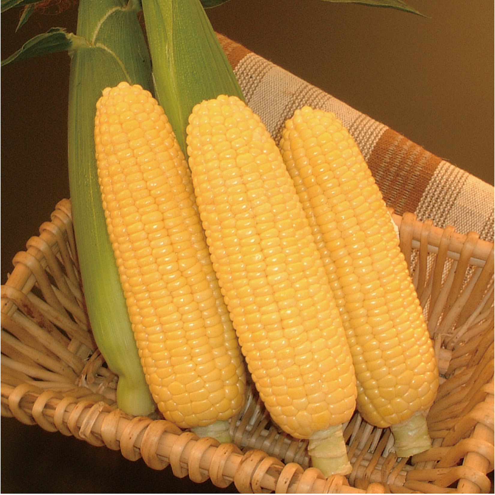 スイートコーン種子】ピクニックコーン_2000粒 | 株式会社PsEco